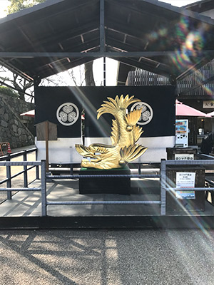 金シャチです!! 金シャチです!!