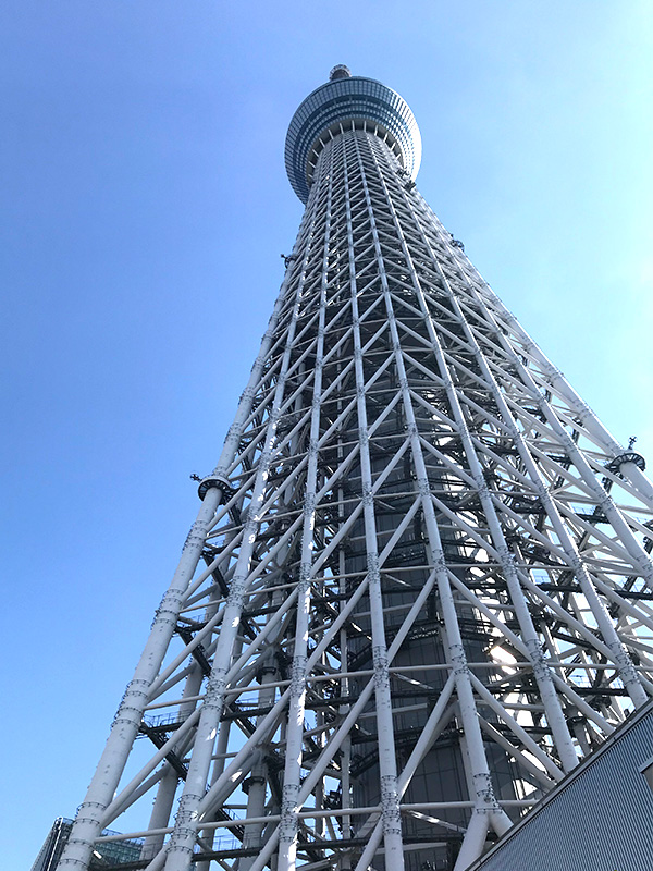 さすが世界一です! さすが世界一です!
