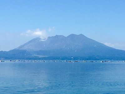 桜島が綺麗に見えています。 桜島が綺麗に見えています。