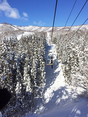 リフトからの雪景色 リフトからの雪景色