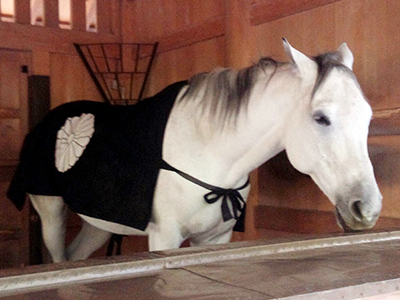 神馬 神馬