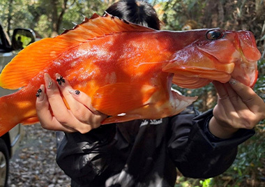 No.50「最近の休日」