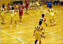 ディフェンスをするフェニックス