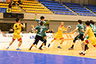 第74回日本ハンドボール選手権 準々決勝 大崎戦