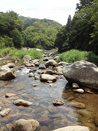 癒されます♪ 癒されます♪