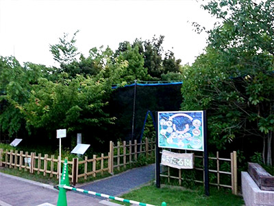 ホタル観賞会に行ってきました! ホタル観賞会に行ってきました!