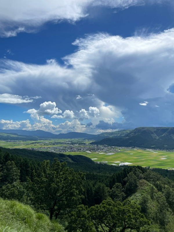 山道からの風景