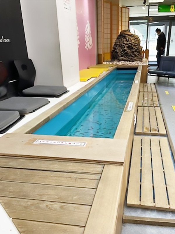 ドクターフィッシュ